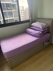 The Wisteria (D27), Apartment #554792051